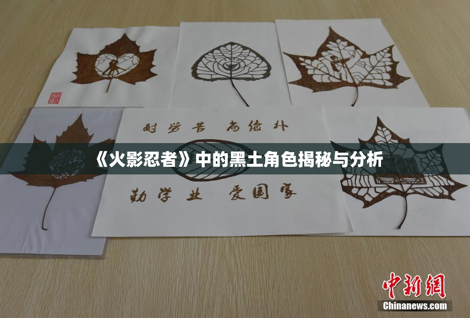 《火影忍者》中的黑土角色揭秘与分析