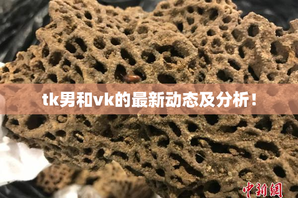 tk男和vk的最新动态及分析！