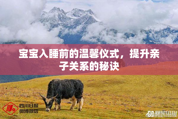 宝宝入睡前的温馨仪式，提升亲子关系的秘诀