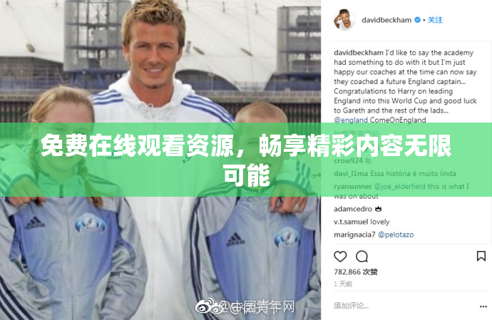 免费在线观看资源，畅享精彩内容无限可能