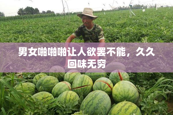 男女啪啪啪让人欲罢不能，久久回味无穷