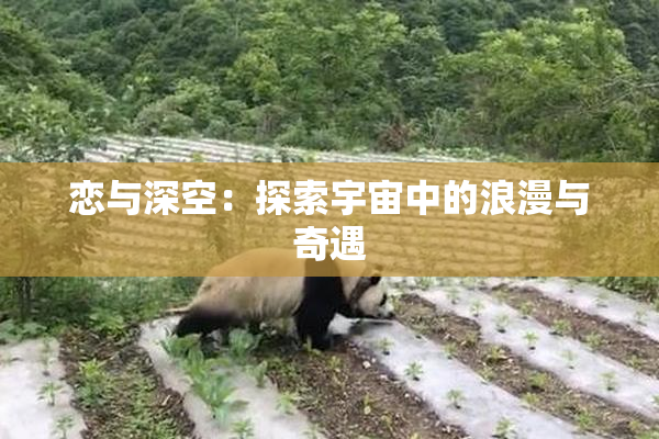 恋与深空：探索宇宙中的浪漫与奇遇