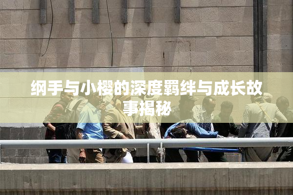 纲手与小樱的深度羁绊与成长故事揭秘