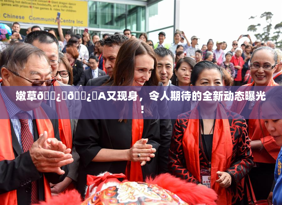 嫩草🌿‌🌿‌A又现身，令人期待的全新动态曝光！