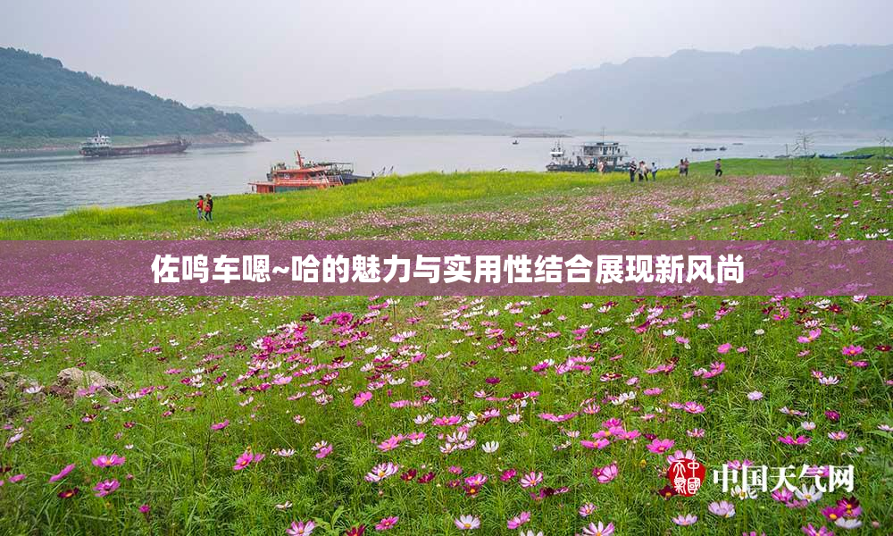 佐鸣车嗯~哈的魅力与实用性结合展现新风尚