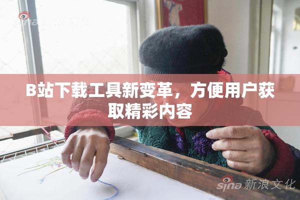B站下载工具新变革，方便用户获取精彩内容