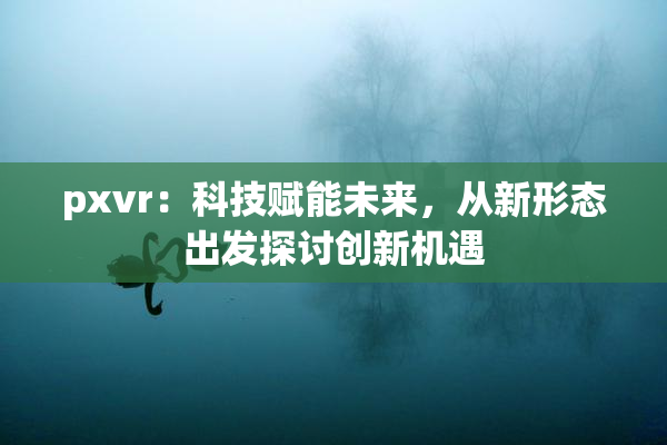 pxvr：科技赋能未来，从新形态出发探讨创新机遇