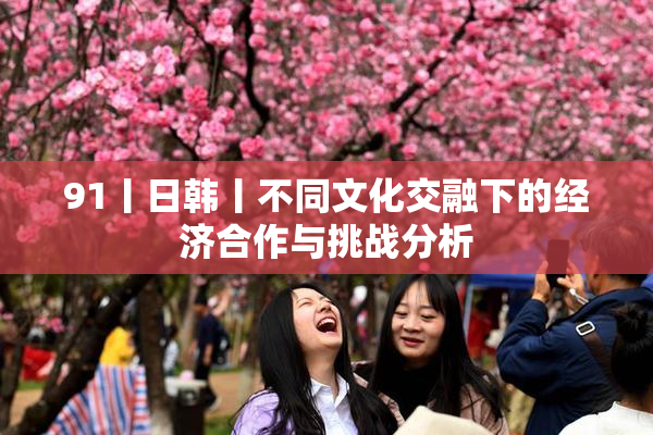 91丨日韩丨不同文化交融下的经济合作与挑战分析