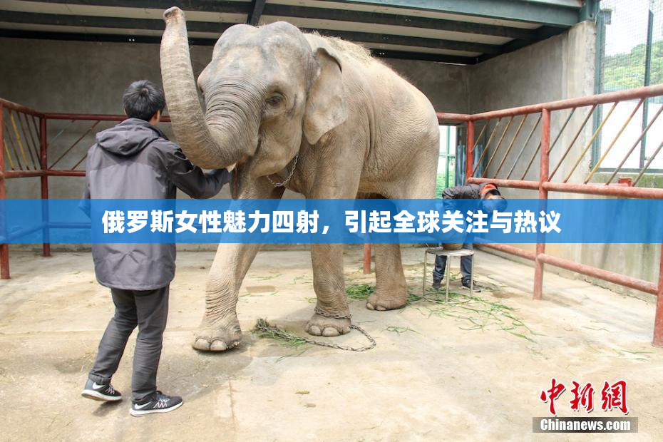 俄罗斯女性魅力四射，引起全球关注与热议