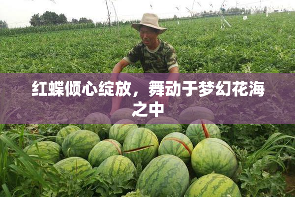 红蝶倾心绽放，舞动于梦幻花海之中