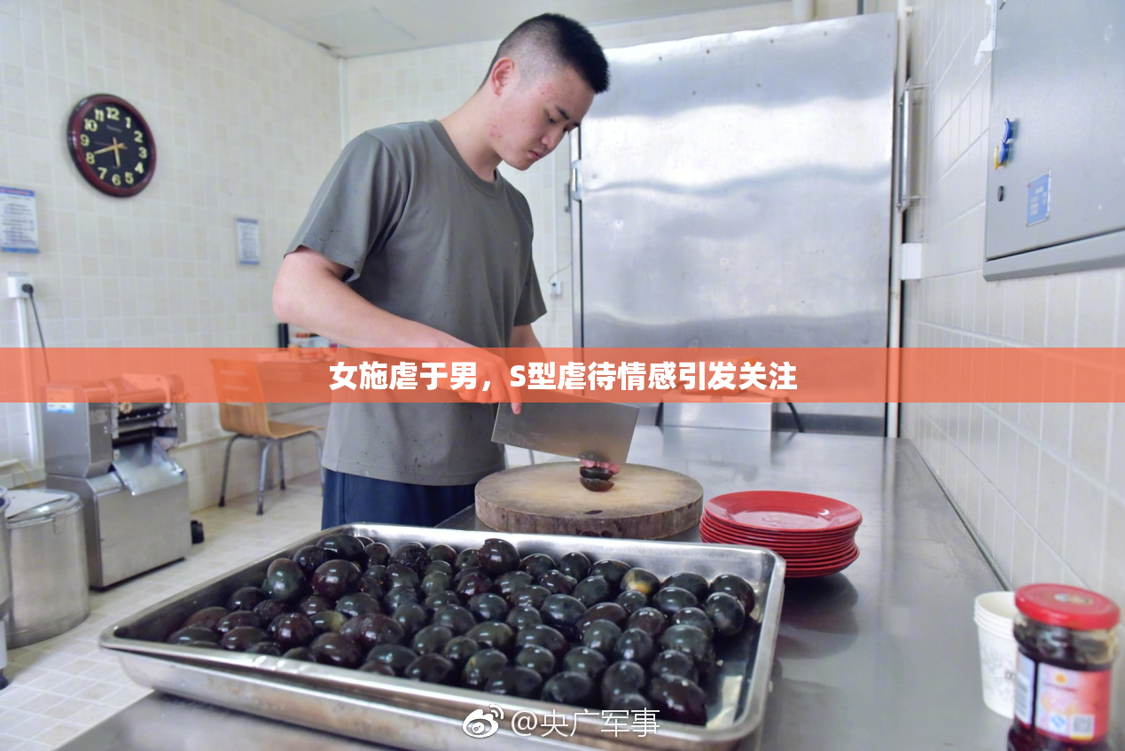 女施虐于男，S型虐待情感引发关注