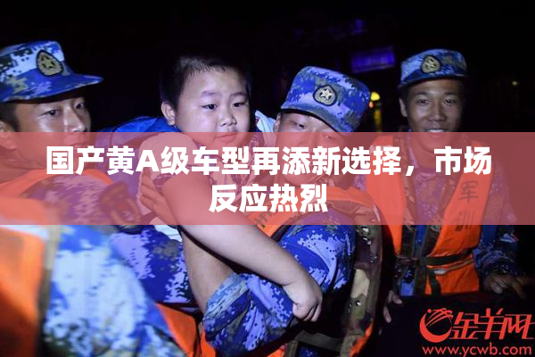 国产黄A级车型再添新选择，市场反应热烈