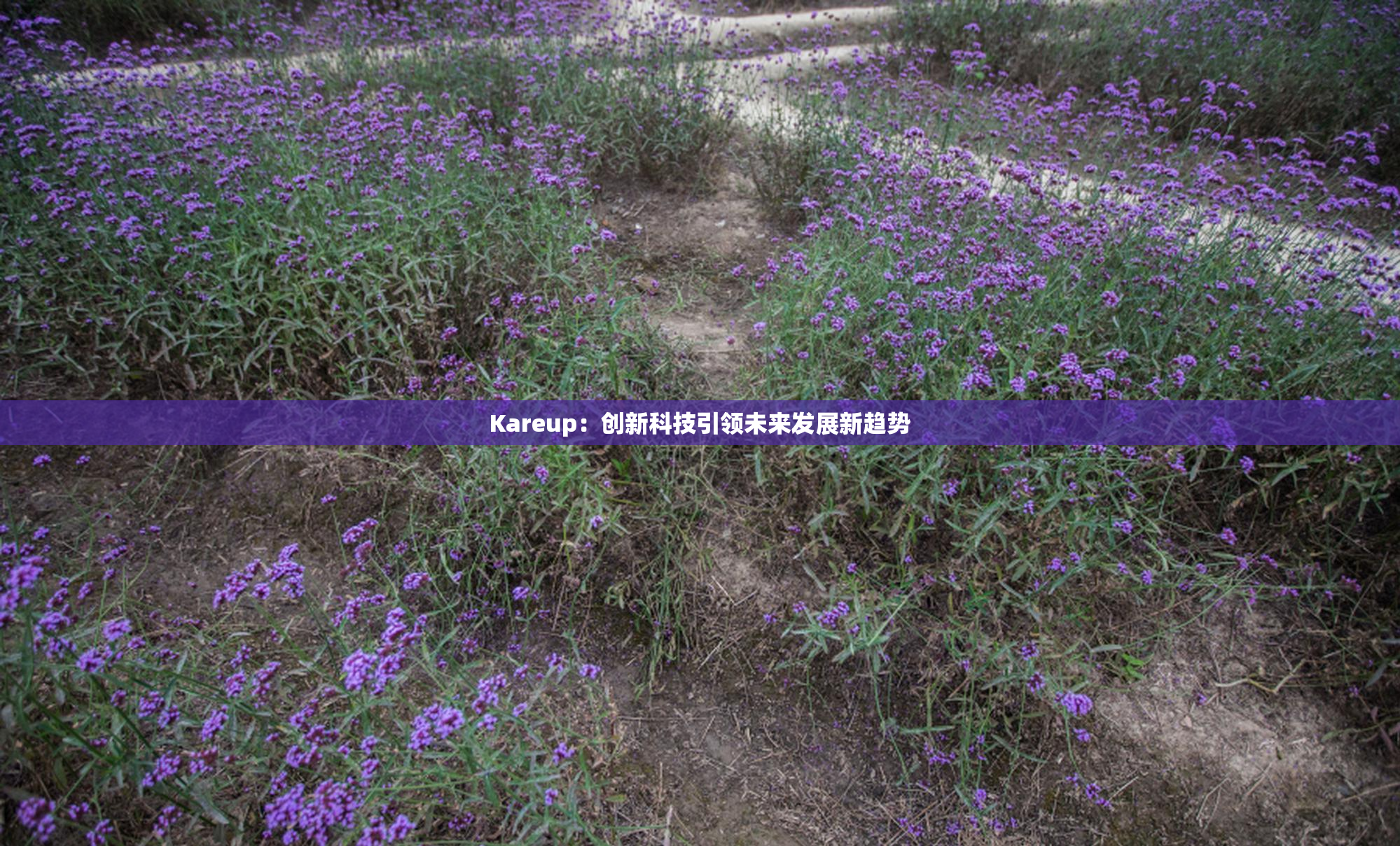 Kareup：创新科技引领未来发展新趋势