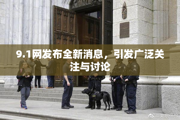 9.1网发布全新消息，引发广泛关注与讨论