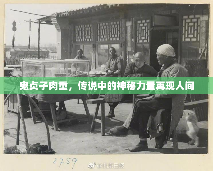 鬼贞子肉重，传说中的神秘力量再现人间