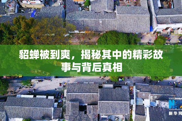 貂蝉被到爽，揭秘其中的精彩故事与背后真相