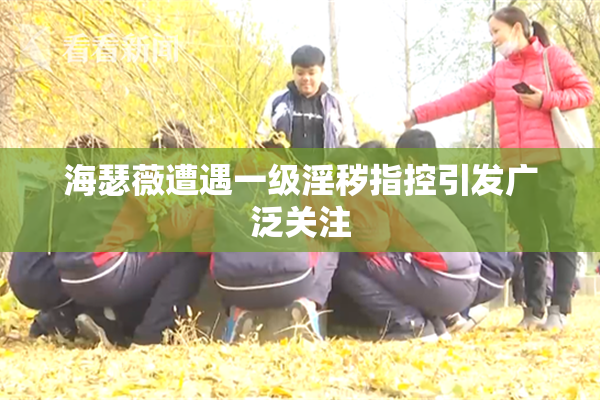 海瑟薇遭遇一级淫秽指控引发广泛关注