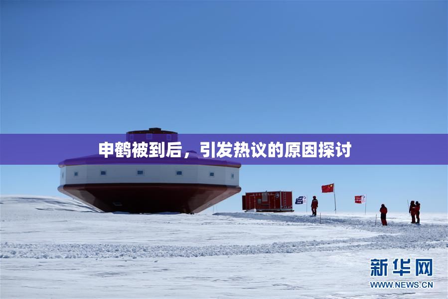 申鹤被到后，引发热议的原因探讨