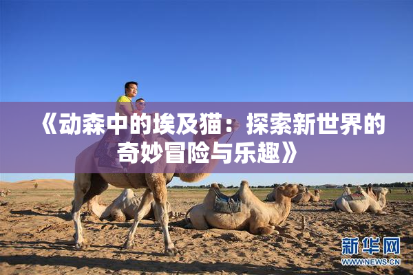 《动森中的埃及猫：探索新世界的奇妙冒险与乐趣》