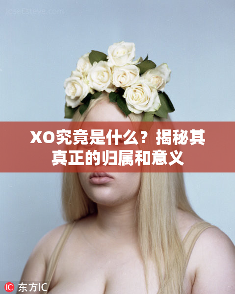 XO究竟是什么？揭秘其真正的归属和意义
