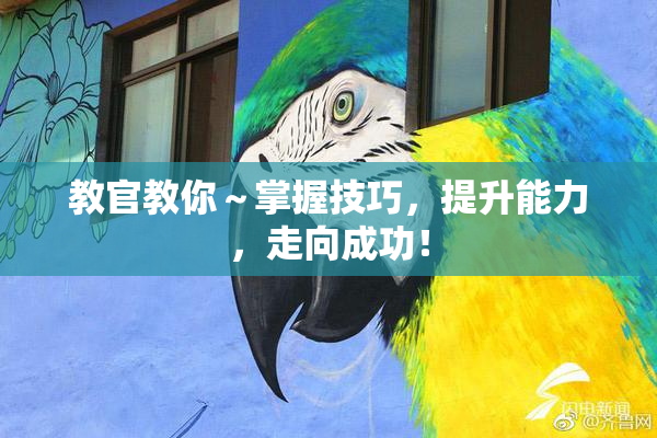 教官教你～掌握技巧，提升能力，走向成功！