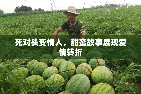 死对头变情人，甜蜜故事展现爱情转折