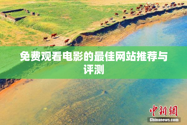 免费观看电影的最佳网站推荐与评测