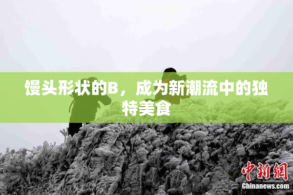 馒头形状的B，成为新潮流中的独特美食