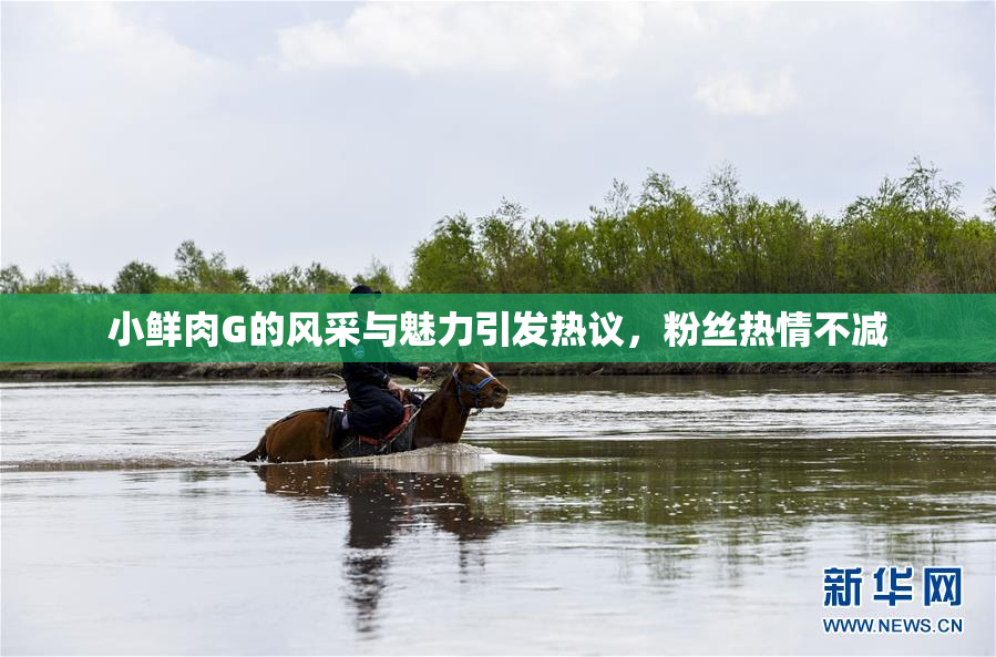 小鲜肉G的风采与魅力引发热议，粉丝热情不减