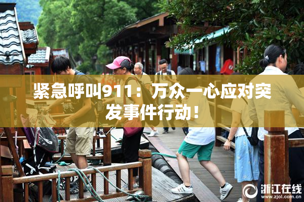 紧急呼叫911：万众一心应对突发事件行动！