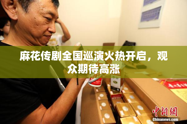 麻花传剧全国巡演火热开启，观众期待高涨