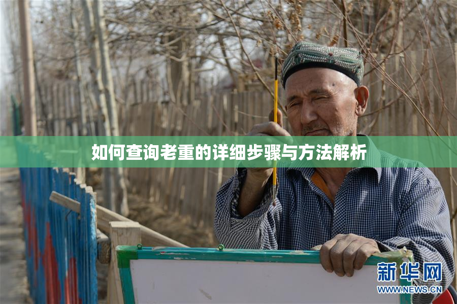 如何查询老重的详细步骤与方法解析