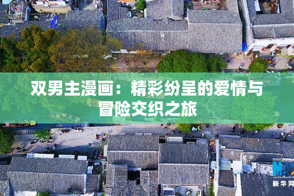 双男主漫画：精彩纷呈的爱情与冒险交织之旅