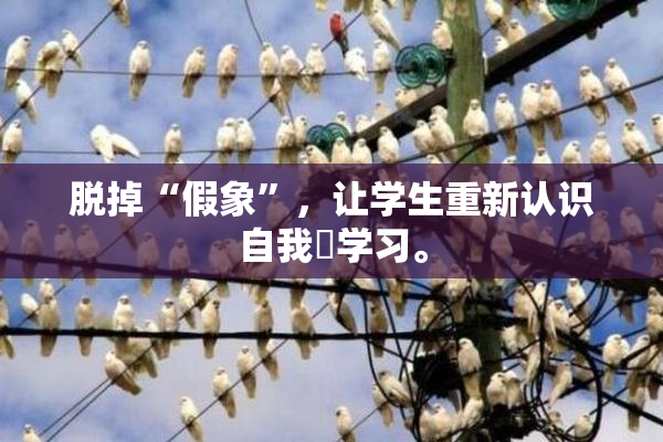 脱掉“假象”，让学生重新认识自我與学习。