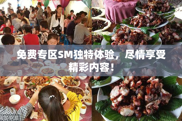 免费专区SM独特体验，尽情享受精彩内容！