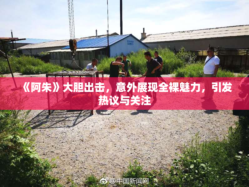 《阿朱》大胆出击，意外展现全裸魅力，引发热议与关注