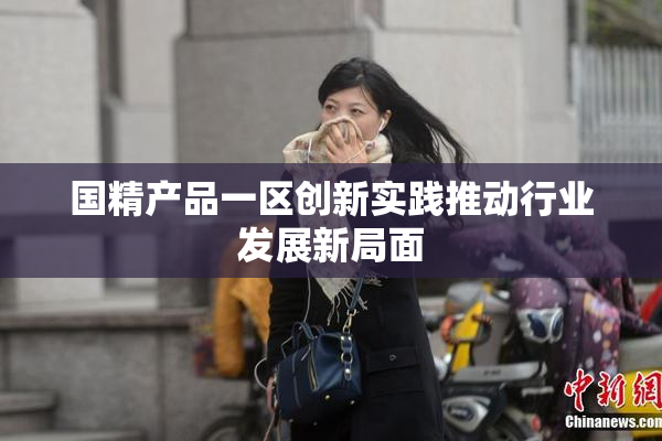 国精产品一区创新实践推动行业发展新局面