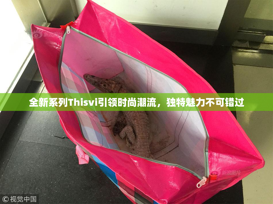 全新系列Thisvi引领时尚潮流，独特魅力不可错过