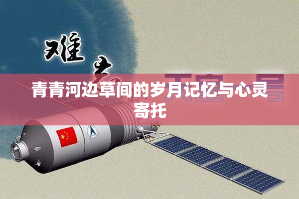 青青河边草间的岁月记忆与心灵寄托