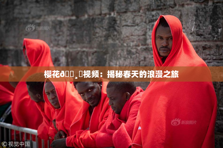 樱花🌸‌视频：揭秘春天的浪漫之旅