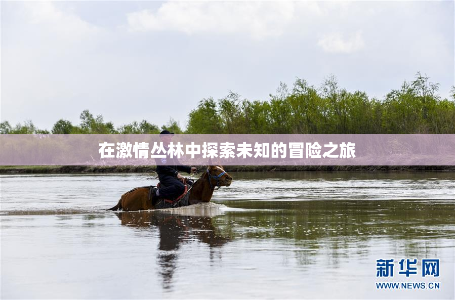 在激情丛林中探索未知的冒险之旅