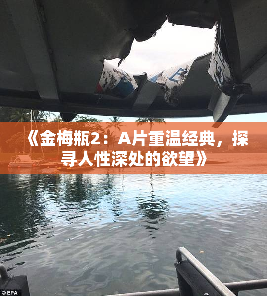 《金梅瓶2：A片重温经典，探寻人性深处的欲望》