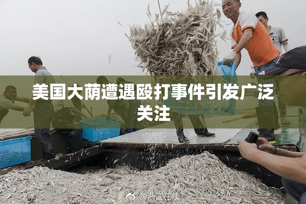 美国大荫遭遇殴打事件引发广泛关注