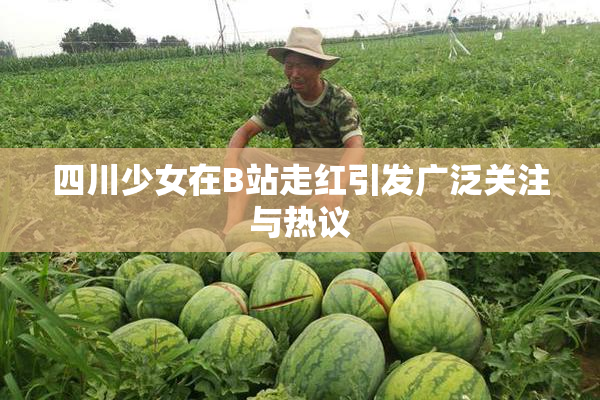 四川少女在B站走红引发广泛关注与热议