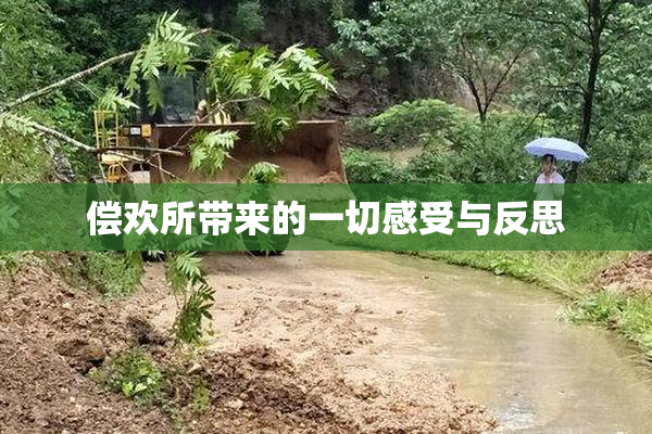 偿欢所带来的一切感受与反思