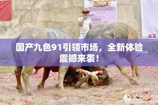 国产九色91引领市场，全新体验震撼来袭！