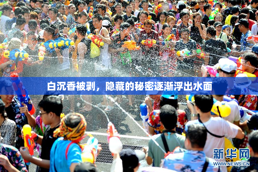 白沉香被剥，隐藏的秘密逐渐浮出水面