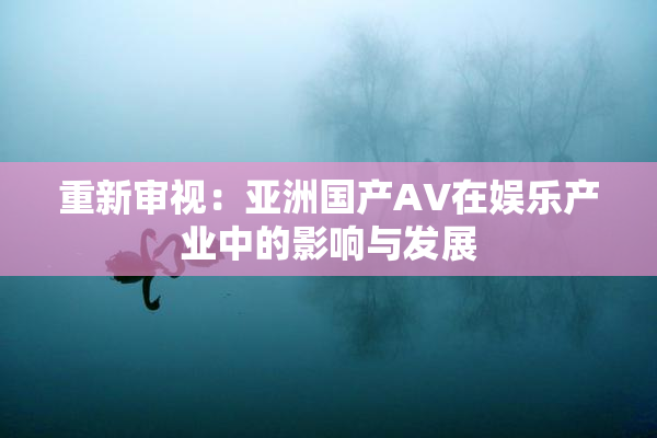 重新审视：亚洲国产AV在娱乐产业中的影响与发展