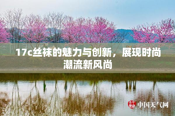 17c丝袜的魅力与创新，展现时尚潮流新风尚