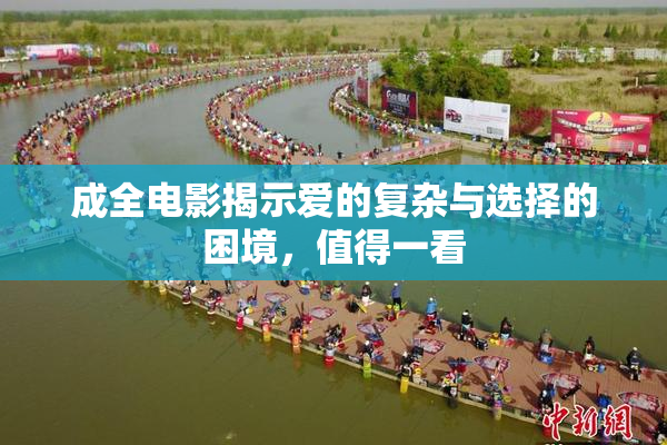 成全电影揭示爱的复杂与选择的困境，值得一看